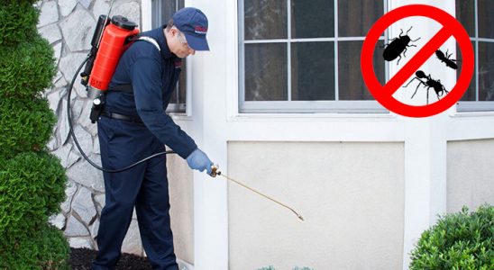 Evka 2 Uçan Haşere İlaçlama böcek ilaçlama ve haşere kontrolü — ilaclama-tr.com